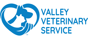 Veterinarian in Belle Vernon, PA | Valley Veterinary Service